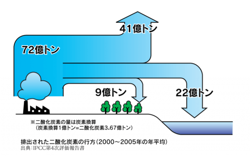 ブルーカーボン
