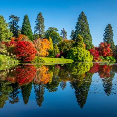 ナショナルトラスト