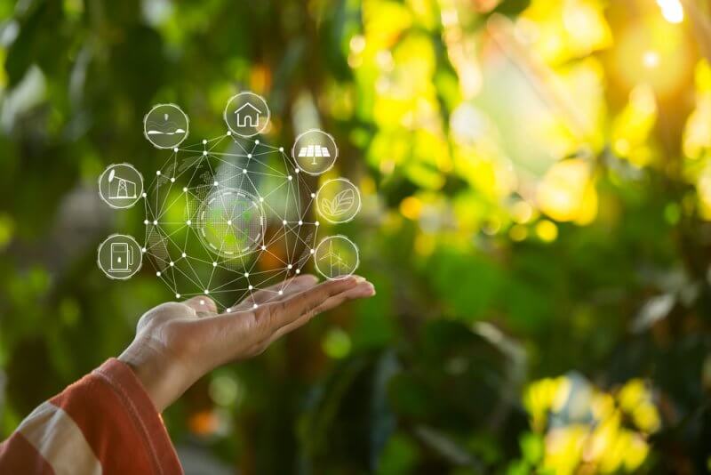 持続可能な開発