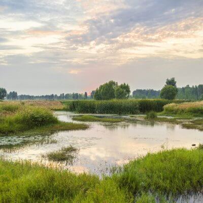 ラムサール条約